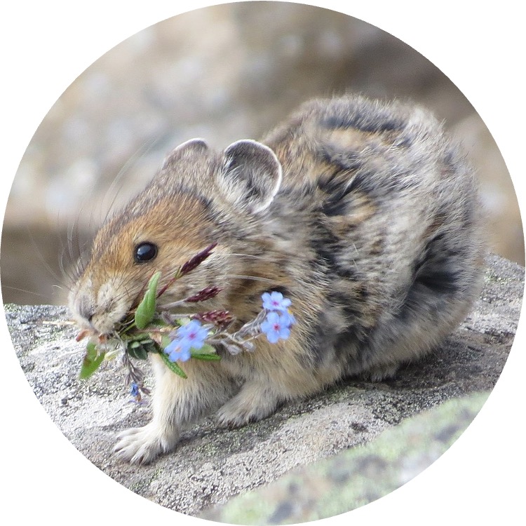 Project visualization